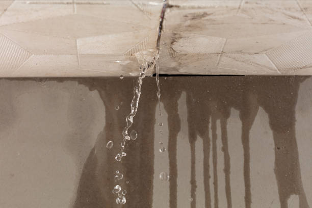 Professional Structural Drying technician working in Dallas, NC